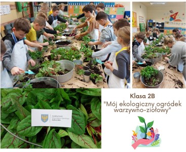 Warsztaty klas 1-3 „Mój ekologiczny ogródek warzywno-ziołowy” - powiększ