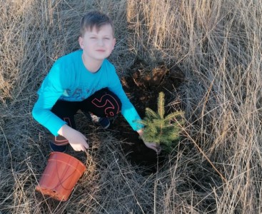 Chłopiec sadzi drzewo - powiększ