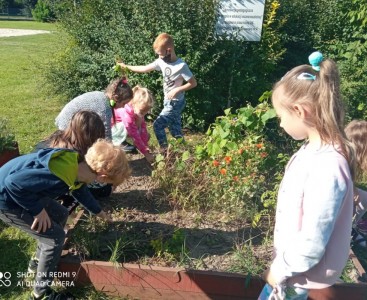 Dzieci w ogrodzie - powiększ