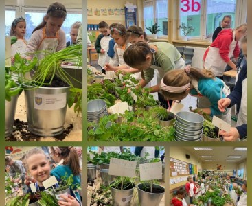 Warsztaty klas 1-3 „Mój ekologiczny ogródek warzywno-ziołowy” - powiększ