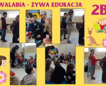 „WALABIA- ŻYWA EDUKACJA” W KLASACH 1-3 - powiększ