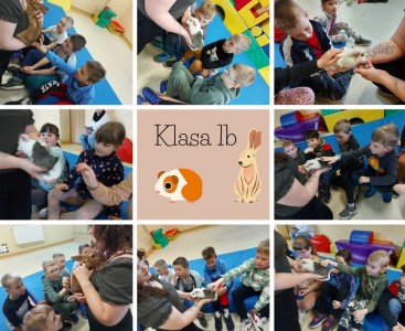 „WALABIA- ŻYWA EDUKACJA” W KLASACH 1-3 - powiększ