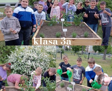 Pracownia pod chmurką w PSP nr 4 - powiększ